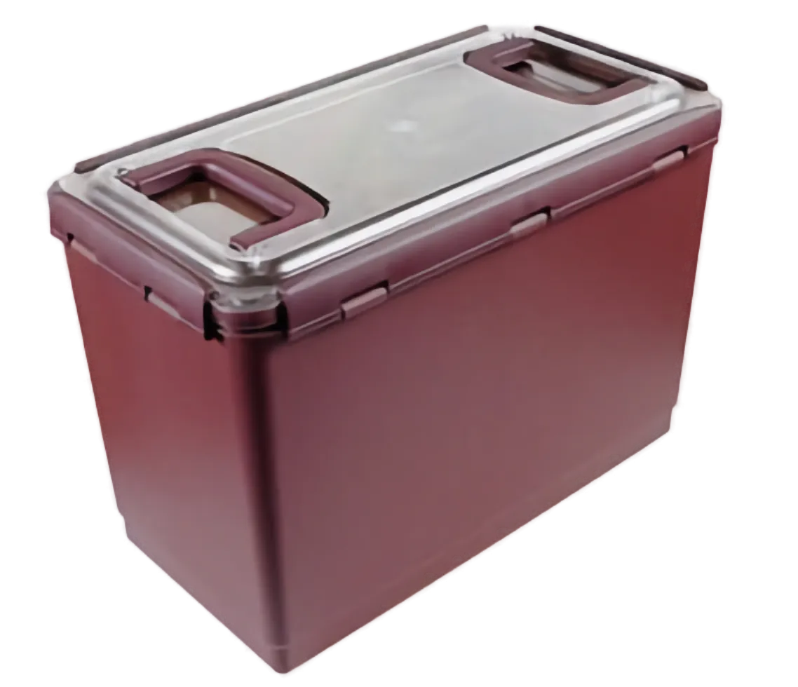 Clear Cover Burgundy Kimchi Container