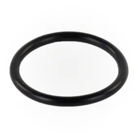 Pentair O-ring for Wall Fitting E21