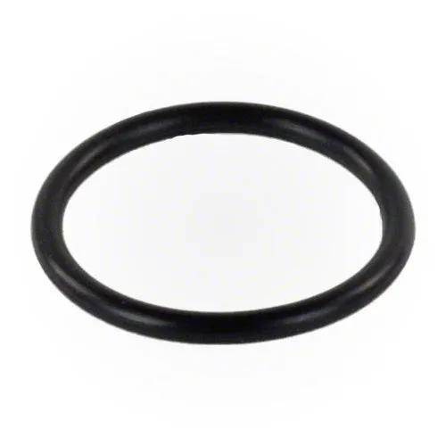 Pentair O-ring for Wall Fitting E21